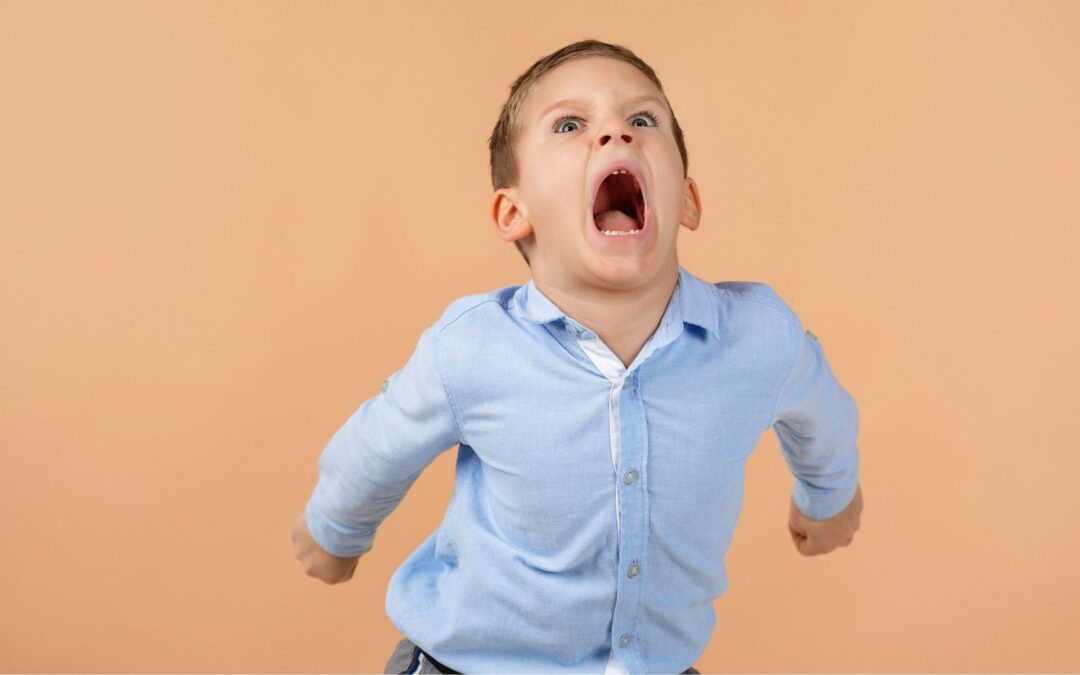 When a Child’s Outbursts are Limited to Home: A Child-Centered Play Therapy Perspective