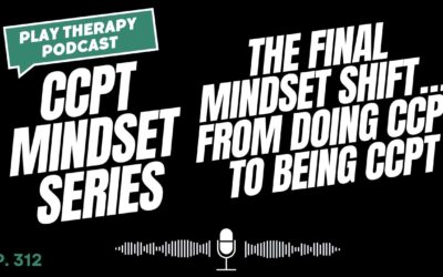 CCPT Mindset: The Final Mindset Shift…From Doing CCPT to Being CCPT
