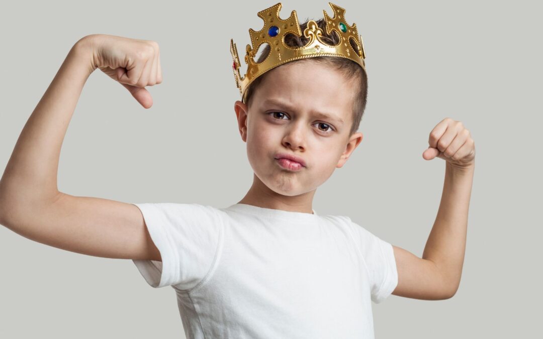 352 | Power, Control, and Anxiety: Unpacking the Child’s Need for Dominance