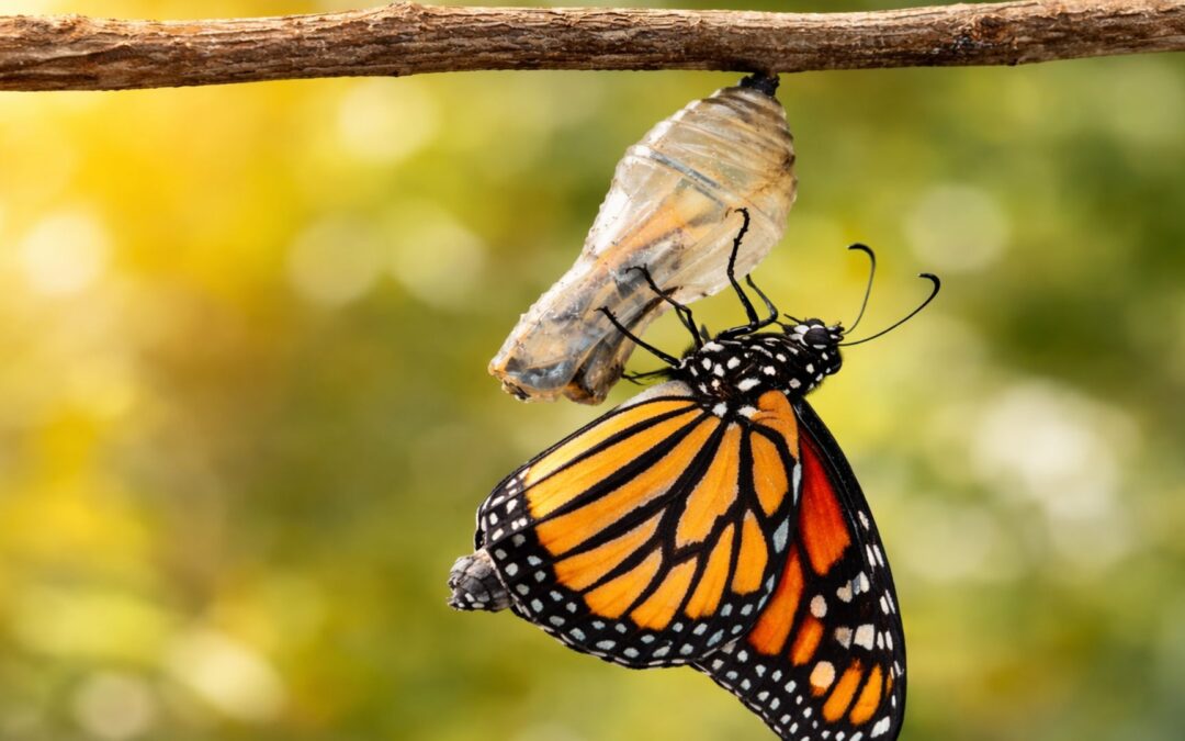 378 | Stop Rescuing Children in the Playroom